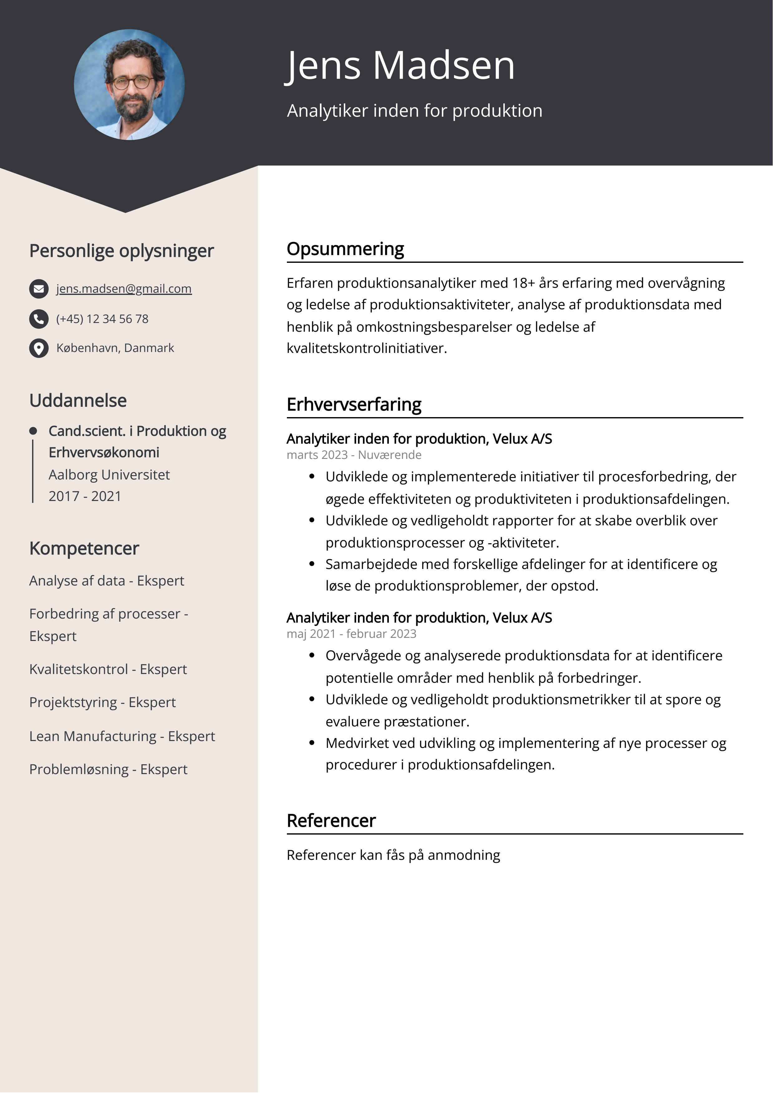 Analytiker inden for produktion CV-eksempel