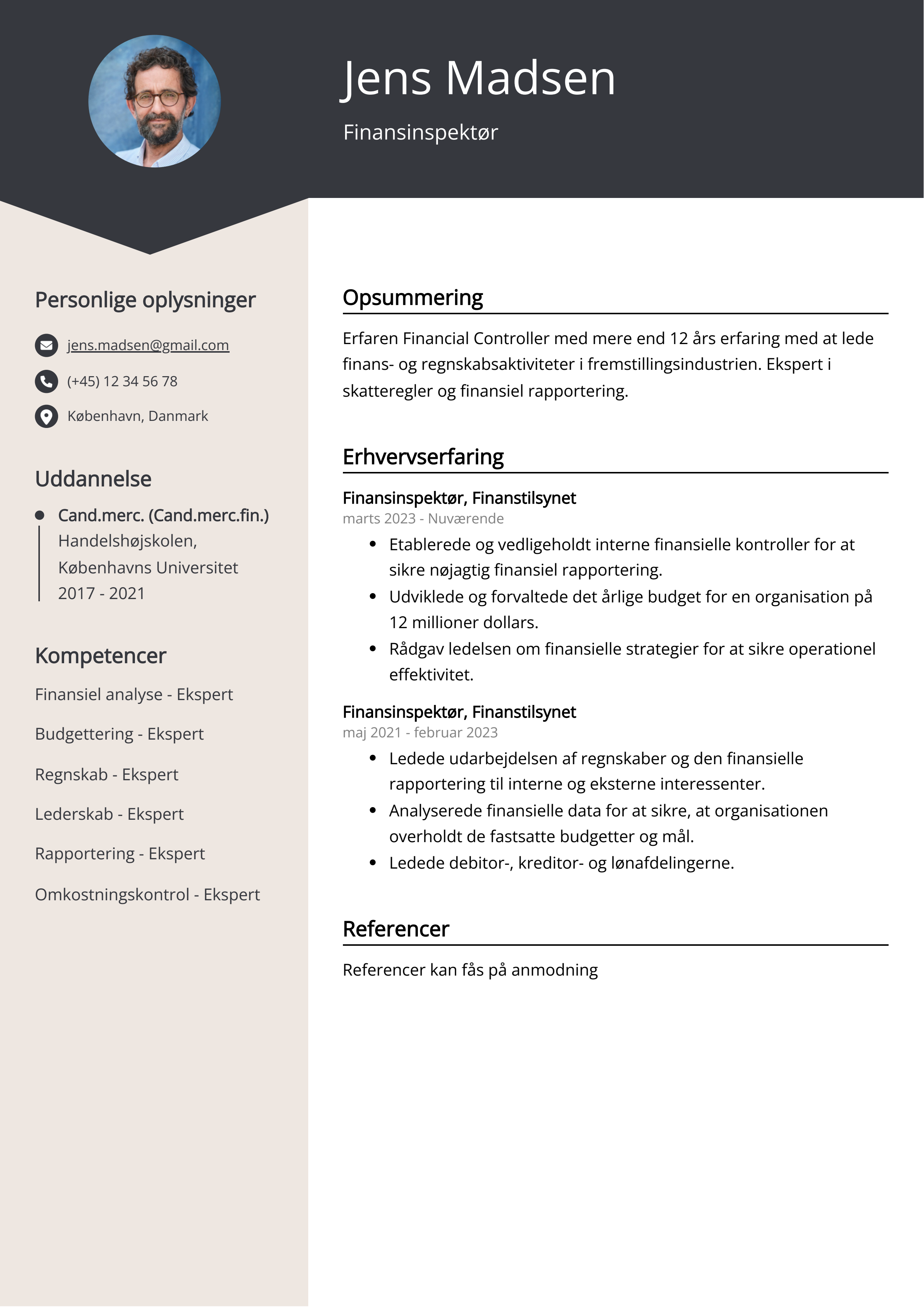 Finansinspektør CV-eksempel