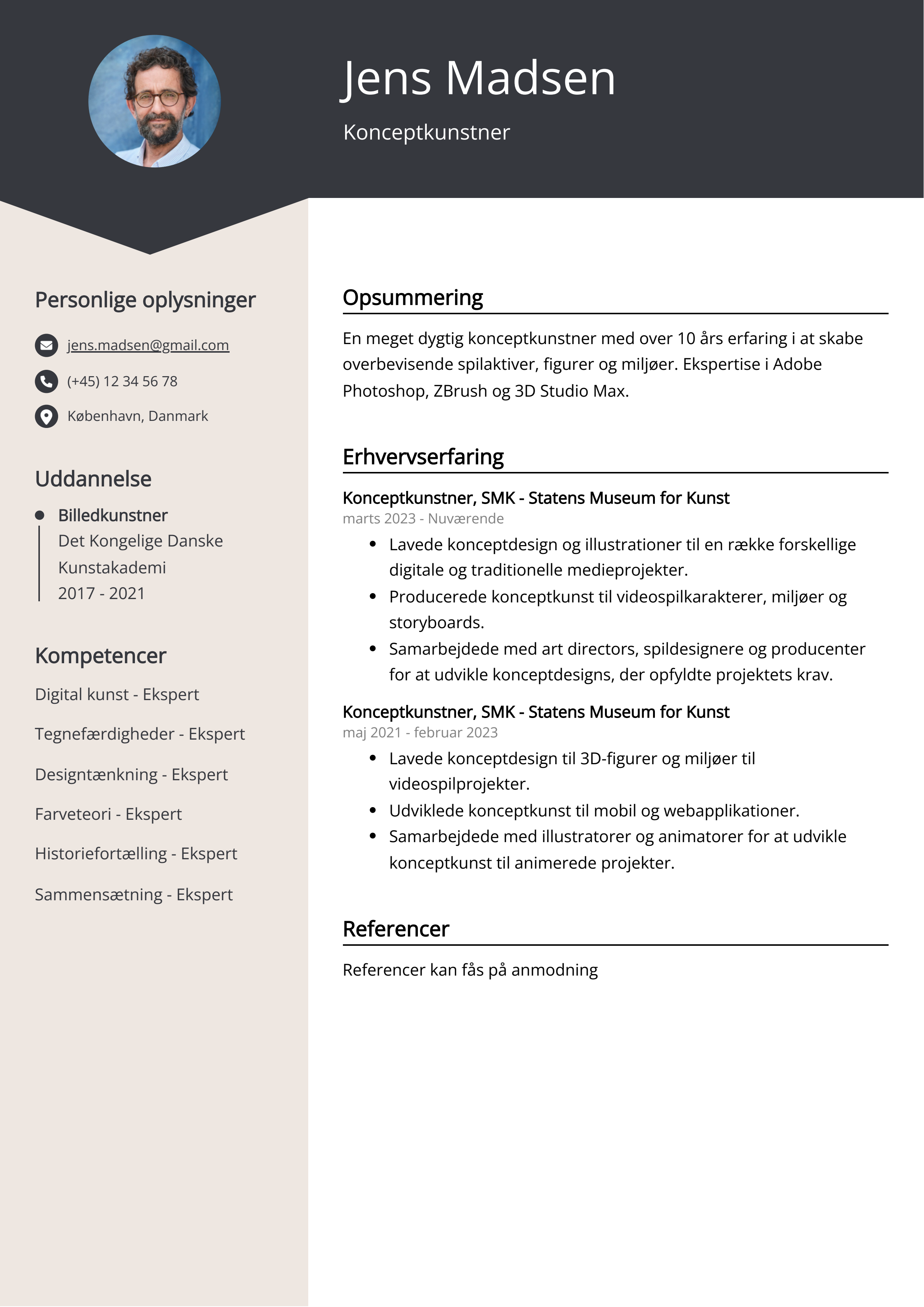 Konceptkunstner CV-eksempel