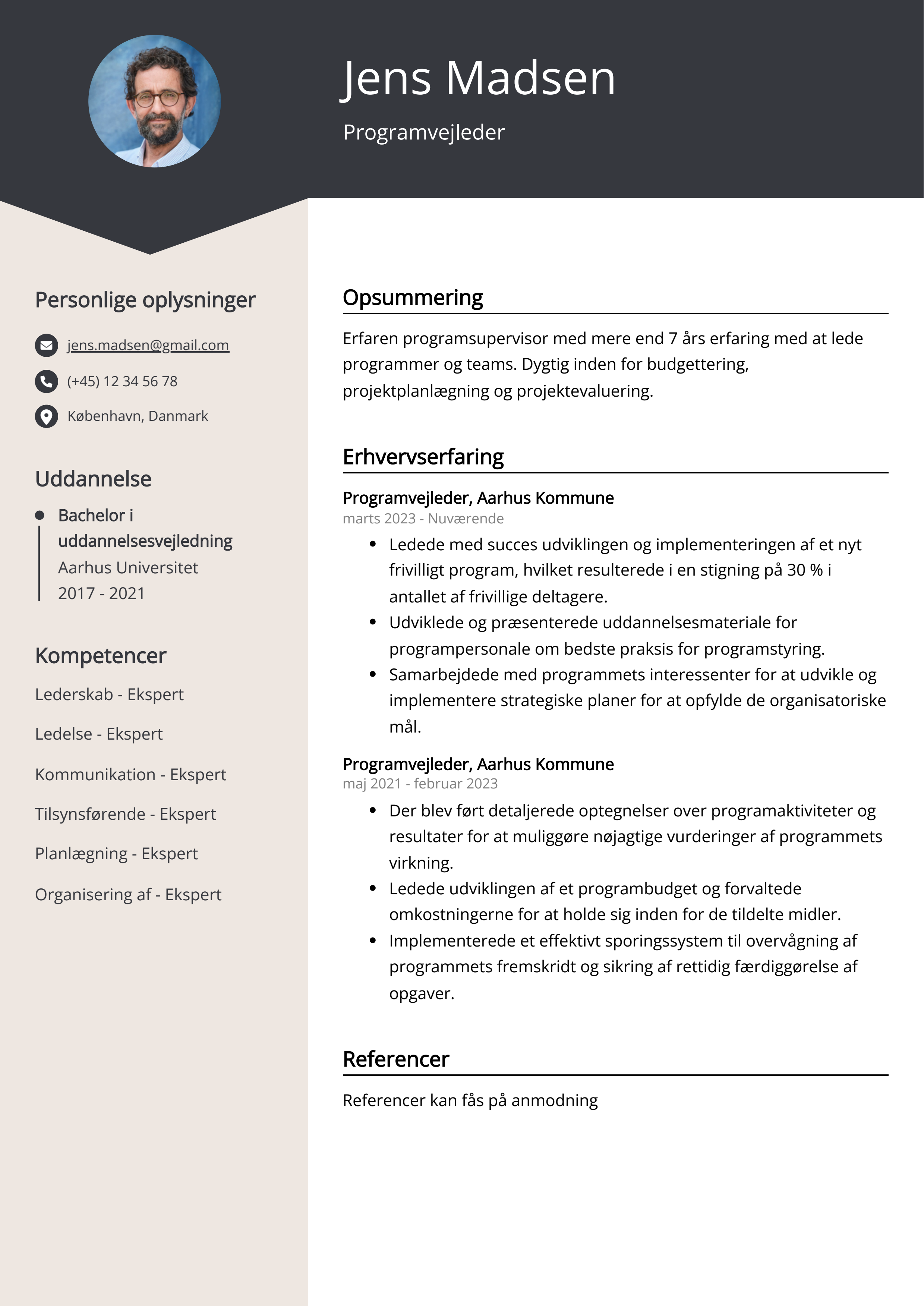 Programvejleder CV eksempel