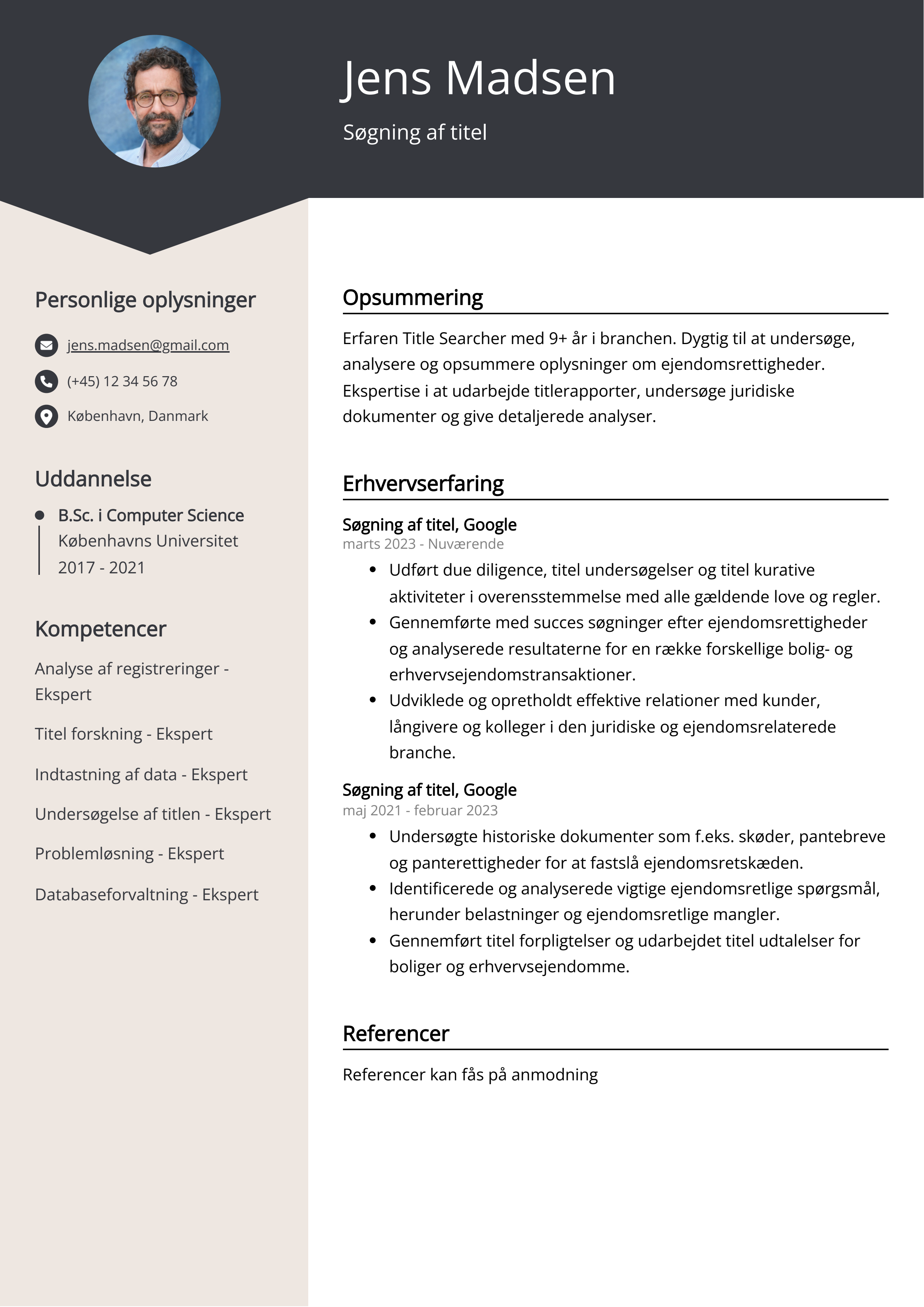 Søgning af titel CV-eksempel