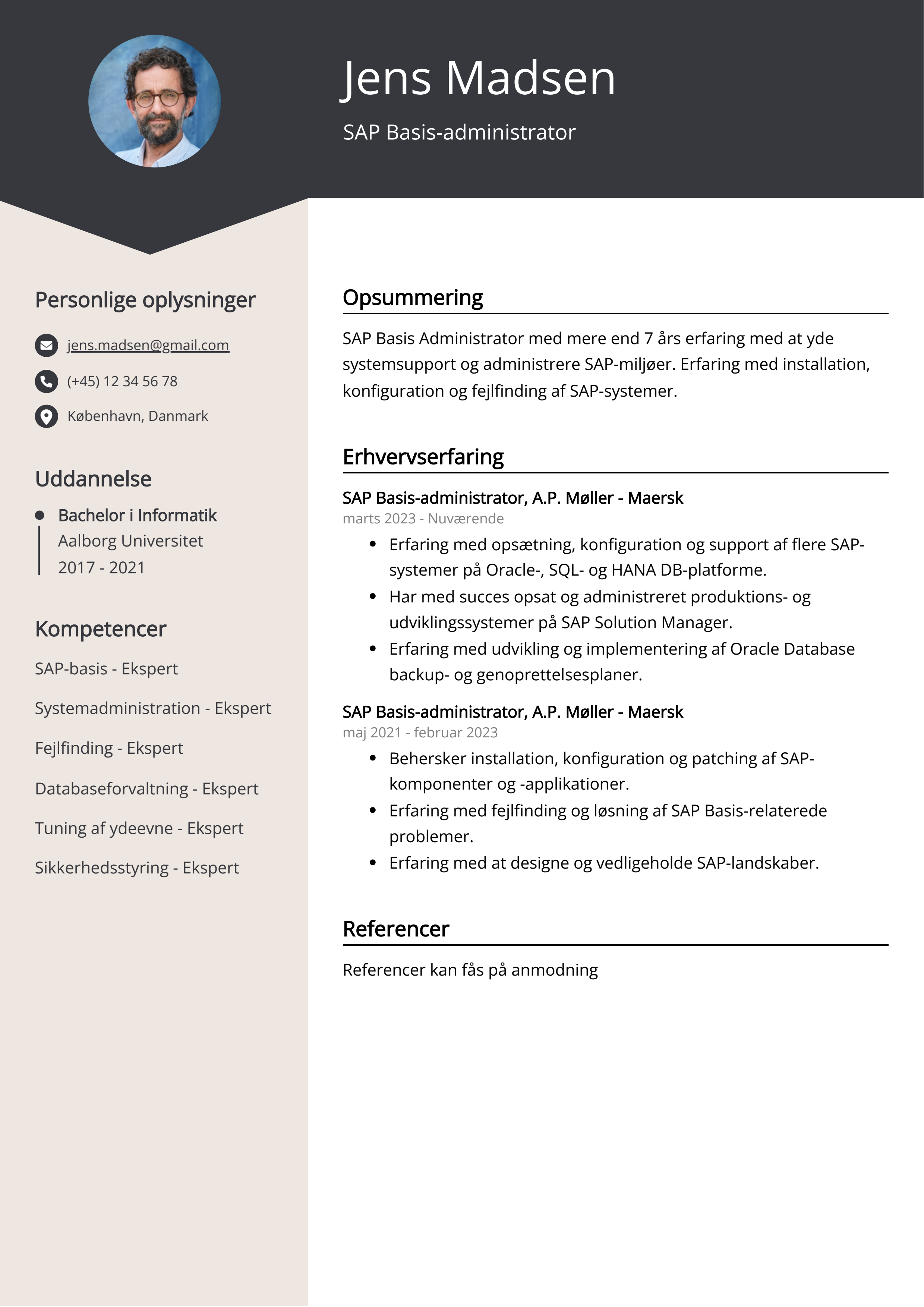 SAP Basis-administrator CV-eksempel