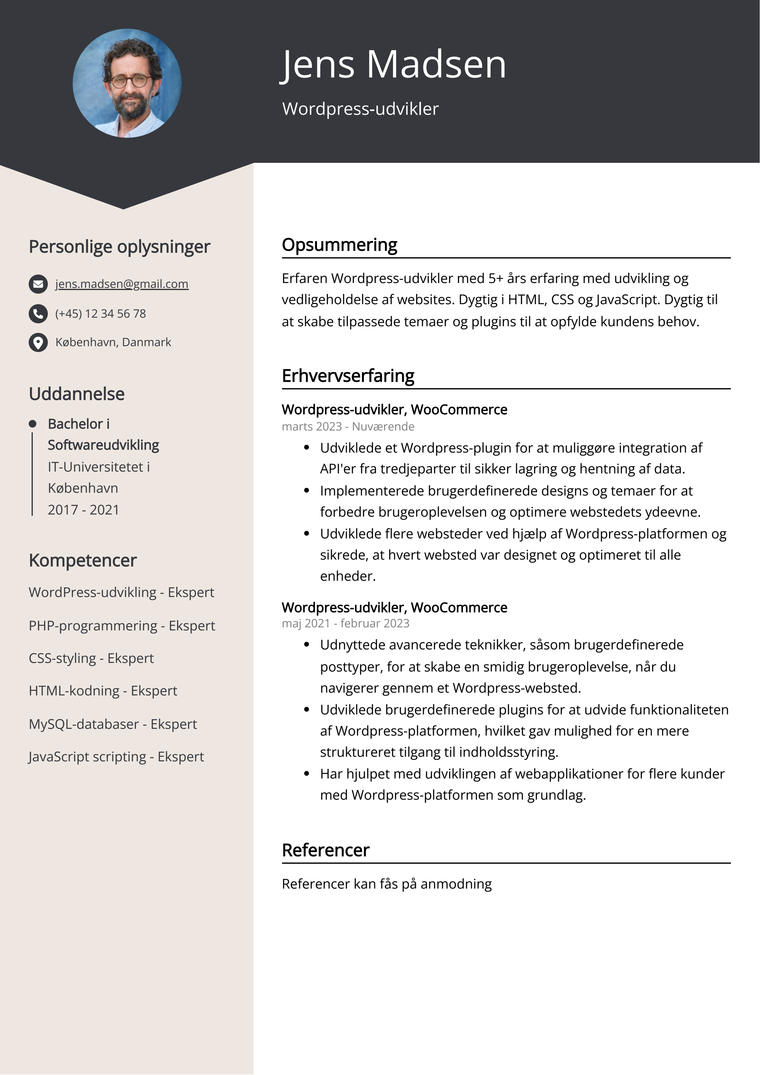 Wordpress-udvikler CV-eksempel